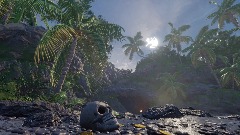 The Pirate's Cove Showcase