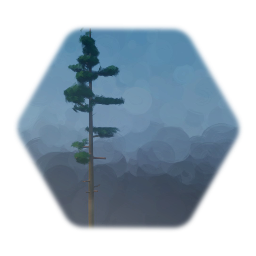Pine tree