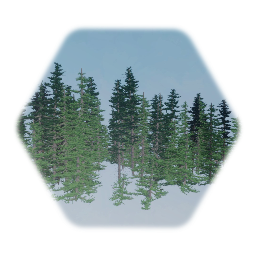 Background ConiferTree  Forest