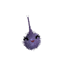 ACoralineCat