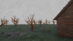 Tree man horror