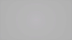 Whopper Ad  but   its   Stupid