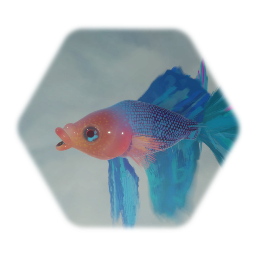 Betta