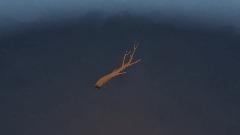 A screenshot taken in Dreams. 6 of 9.