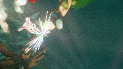 Remix of My Creation - 14/2/2020