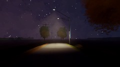 Realistic Open World Template (Always Night Time)