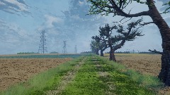 Mühlhausen, Germany - Fields