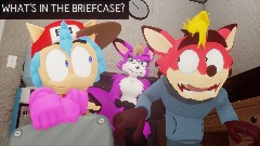 What's in the briefcase