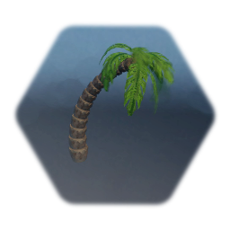 Coconut Palm Tree