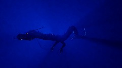 A screenshot taken in Dreams. 3 of 4.