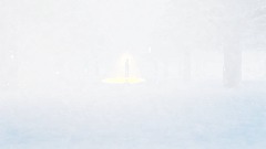 Snow Beauty