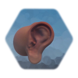 Ear