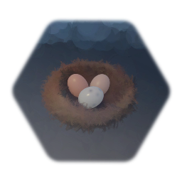 Bird Nest with eggs