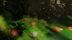 Eyeball plant monter