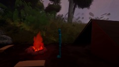 Unusual camping trip