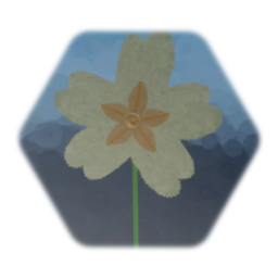 English primrose