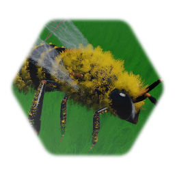 Honey Bee - Sculpt
