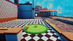 My welcome chick journey