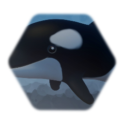 Orca Whale