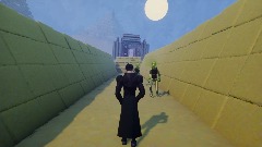 Jotaro's bizarre adventure