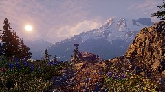 Mt Rainier Realism Study