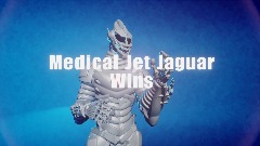 Medical Jet Jaguar Victory