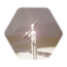 First Person Shotgun