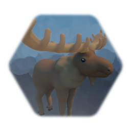 Moose