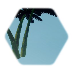 Palm tree's - 9/5/2022