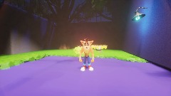 Crash bandicoot in the real world part 1