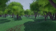 The Video