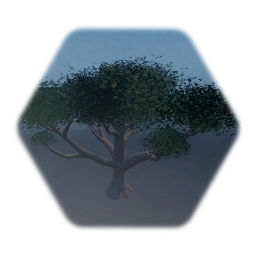 Savannah Tree (Acacia), Low Thermo