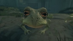 no scene today, just 2 frogs vibing