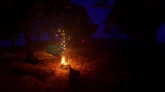 Forest Night