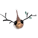 Kjmenji