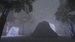 The night in the snowy forest