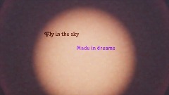 Fly in the sky