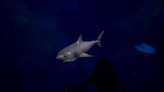 Nightmare Shark life