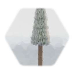 Frozen Pine Tree