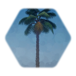 Palm Tree