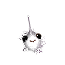 Feliyo73