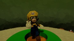Super Wario 64