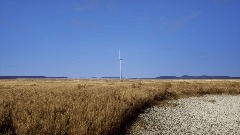 Wind Turbine