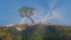 Nature Diorama