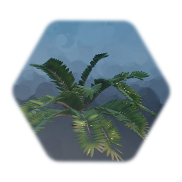 Cardboard Palm/ Zamia Plant