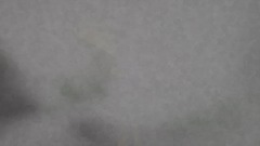 Pet that dog level 13