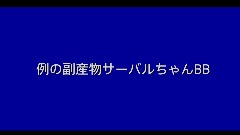 [けもフレ] 例の副産物サーバルちゃんBB+使用例