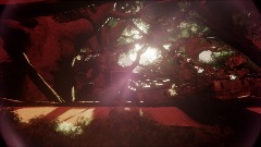 the secret of the forest