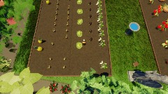 Guinea Pig Garden (Day) 22s