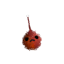 BloonChip